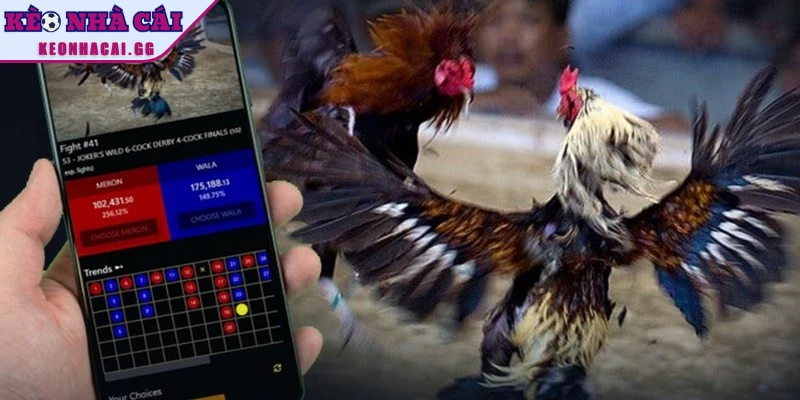 App cung cấp nhiều tính năng nổi bật cho người chơi